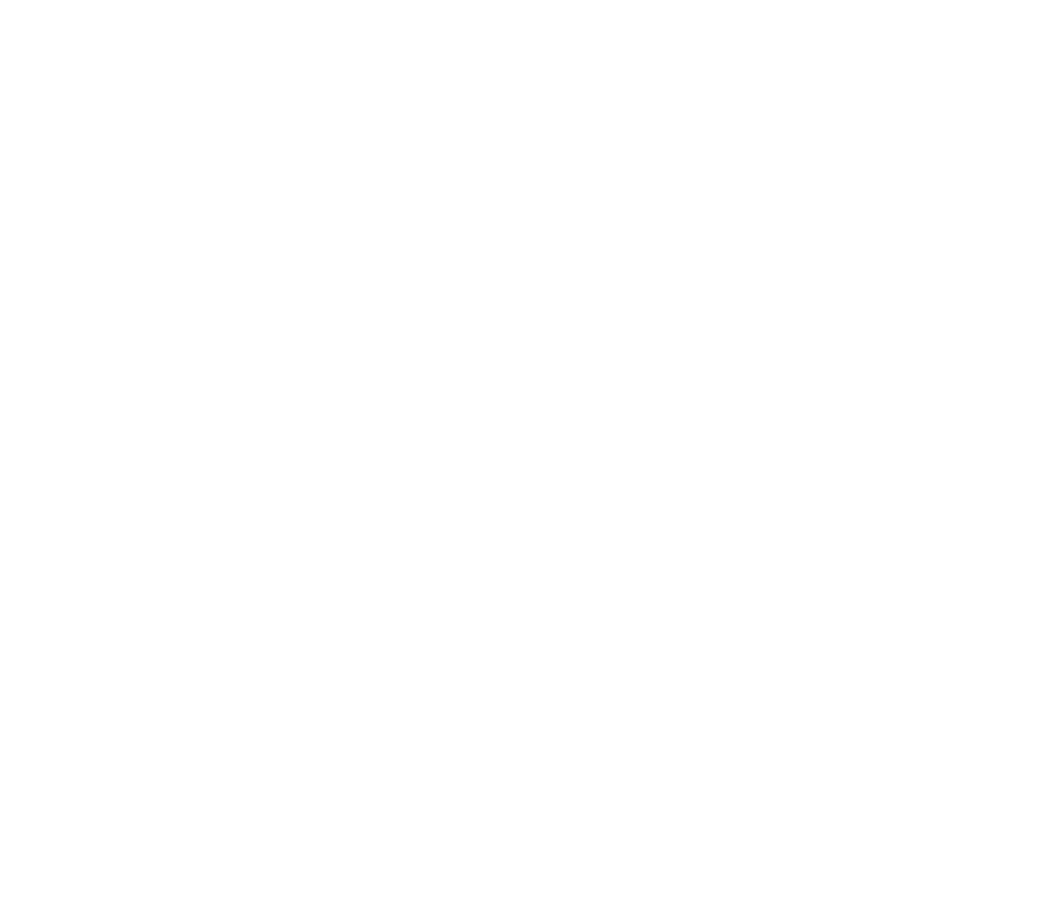 Spinreel Logo