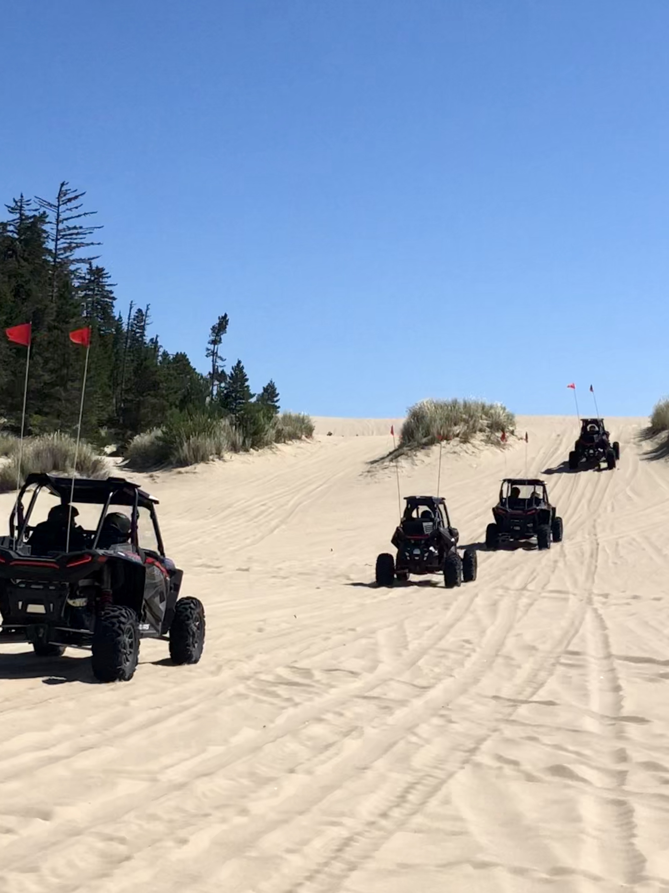 Spinreel Dune Buggy ATV Rental Oregon ATV Dune Buggy Rentals