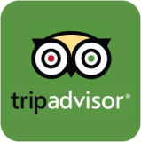 Green TripAdvisor Logo