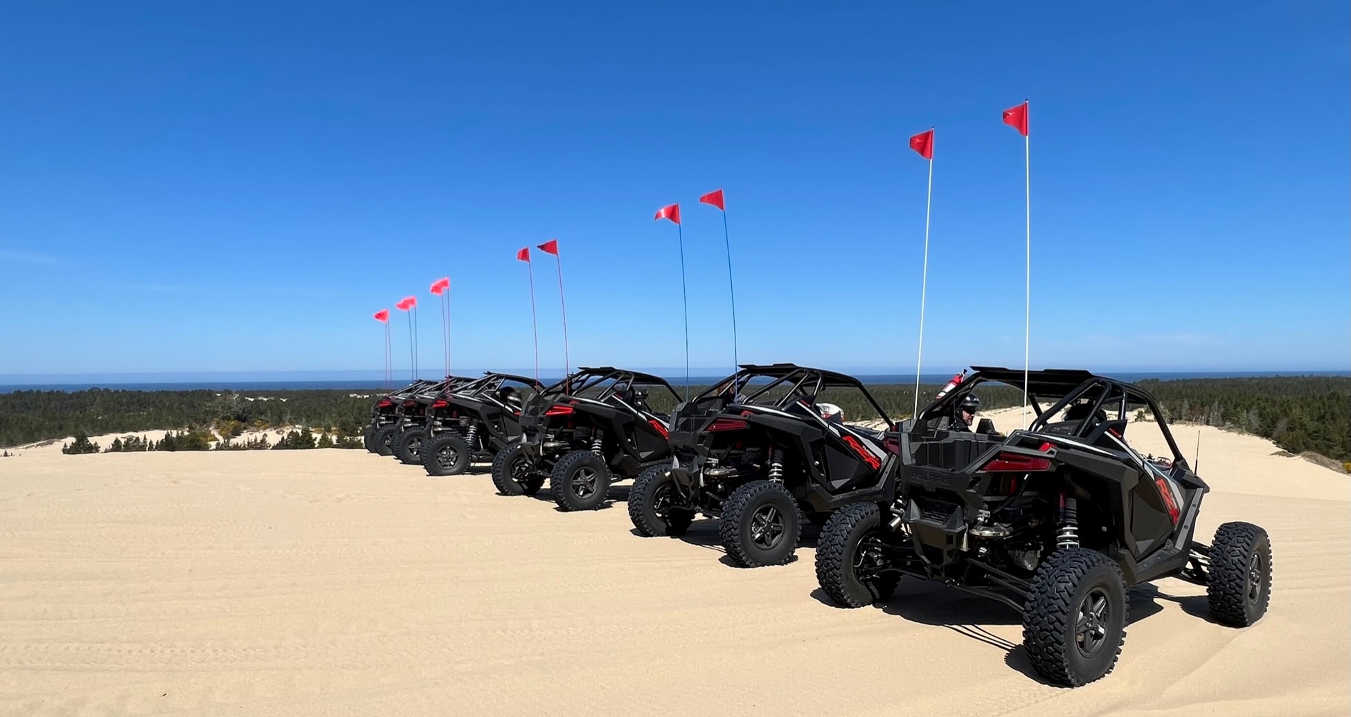 Spinreel dune buggy and atv rentals and tours online